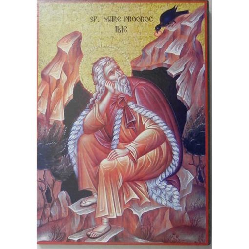 Icoana cu Sf. Proroc Ilie- 20 x 30 cm
